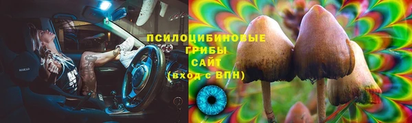 синтетический гашиш Богородицк