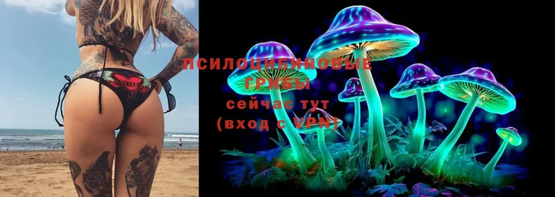 магазин  наркотиков  Мичуринск  Псилоцибиновые грибы Magic Shrooms 